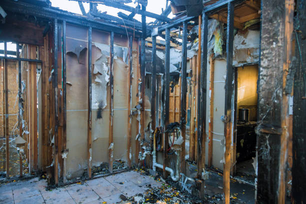 Professional Fire Damage Removal technician working in Mantachie, MS